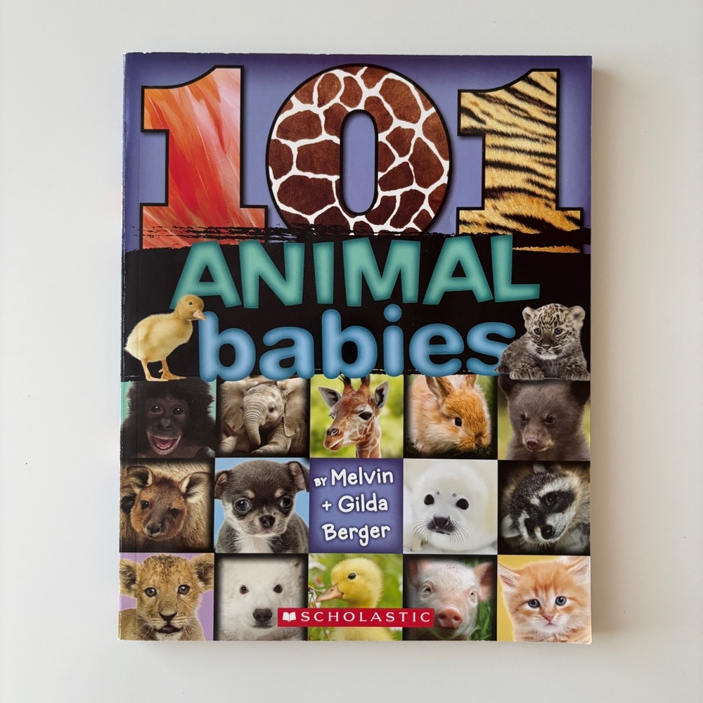 Scholastic 101 Animal Babies Book